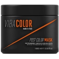 Viba Color Post Color Mask - Hair mask