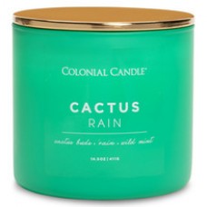 Cactus Rain Three Wicks Candle